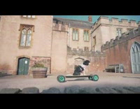 Dog sits and rides electric skateboard beach 