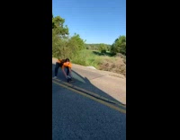 Girl tries to move turtle out of the street
