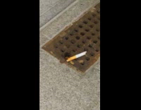 Collab WINY - Cockroach pulling cigarette 