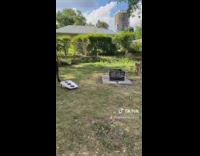 Two types of players cornhole beanbag game