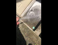 Liquid soap with crystals poured on the concrete next to the drainage Part 3