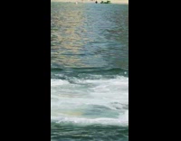 Woman balance water board horse mask beach