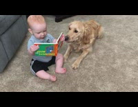 Collab BitchIG2 - Baby reads book next to Golden Retriever