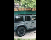 Jeep parallel parks with Shiba Inu staring out window 