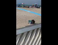 White bikini girl beach slip n slide 