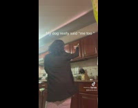 Girl dancing in kitchen dog stands up to dance as well 