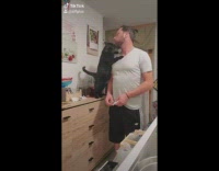 Black cat pulls owner towards it for a hug 