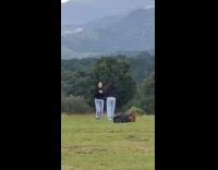 Girl black long sleeves dance on grass