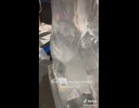 Ice sculpture in shape of penis 