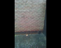 Brown wall bricks wet and dry part comparison