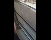 House fly tries to escape house through window