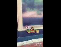 Small toad dressed as farmer sells fruit 