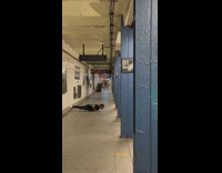 Guy does weird push ups in subway station
