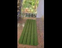 Golden retriever puppy dog black harness newspaper