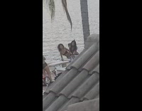 Two girl goth mermaid on table roof