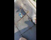 Removing small patch of roof bee hive 