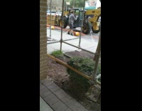 cat forklift black and white striped sweater 