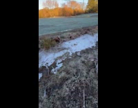 Man steps on frozen ground breaks ice