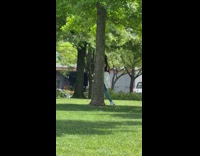 Woman brings her big cat to the park