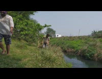 Man run and jumps across the river