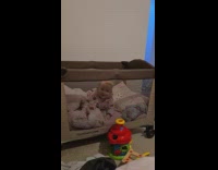 Baby girl flips over crib does scorpion 