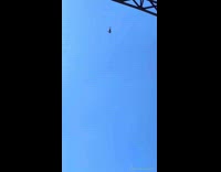 Collab BitchMP - Dog catches man 