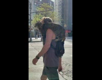 Guy walks down sidewalk cat on shoulder pt. 2
