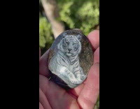 Shiny gemstone with a white tiger drawn on it