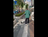 Man Drags Tied Hoverboard with Seat on Sidewalk Part 2