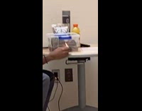 Man lobster in plastic bin cafeteria