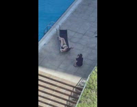 Woman in bikini lie down  on the sun lounger