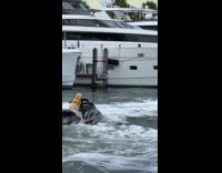 Collab Clips MPUGC - Dog driving jetski by itself