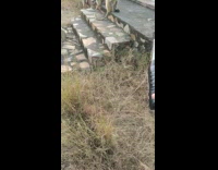 Guy gives brown monkeys water black bottle 