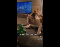 Woman pranks her dog with lollipop dino toy