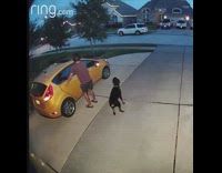 Collab Clips mpugc - Dog jumps into closed door car