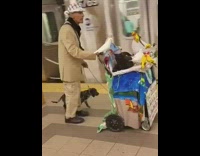 Old man pushes cart of birds and cats while walking dog in subway station