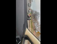 Guy wearing grinch santa costume drives car