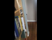 dog hide and seek house