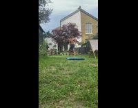 Guy throws white ball gets hit fail 