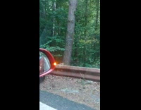 Submitter passing by bear sitting roadside 
