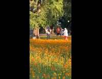 Girl holds mirror by flower field park