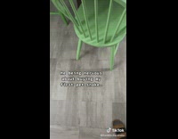 Me nervous to buy my first pet snake