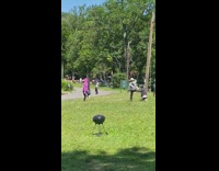 Girl in pink hoodie jumps in park