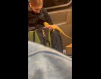 Woman black jacket with pet lizard subway