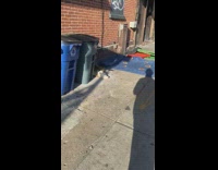 blue blanket on floor with pizza slices on it