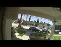 Nest security camera strong winds neighborhood debris 
