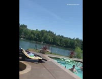 Brown french bulldog puppy DJ pool party 