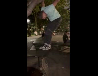 Man hanging stunt on tree at washington square park