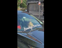 Male mannequin head found on dashboard 