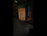 Woman re-enacts Shrek scene